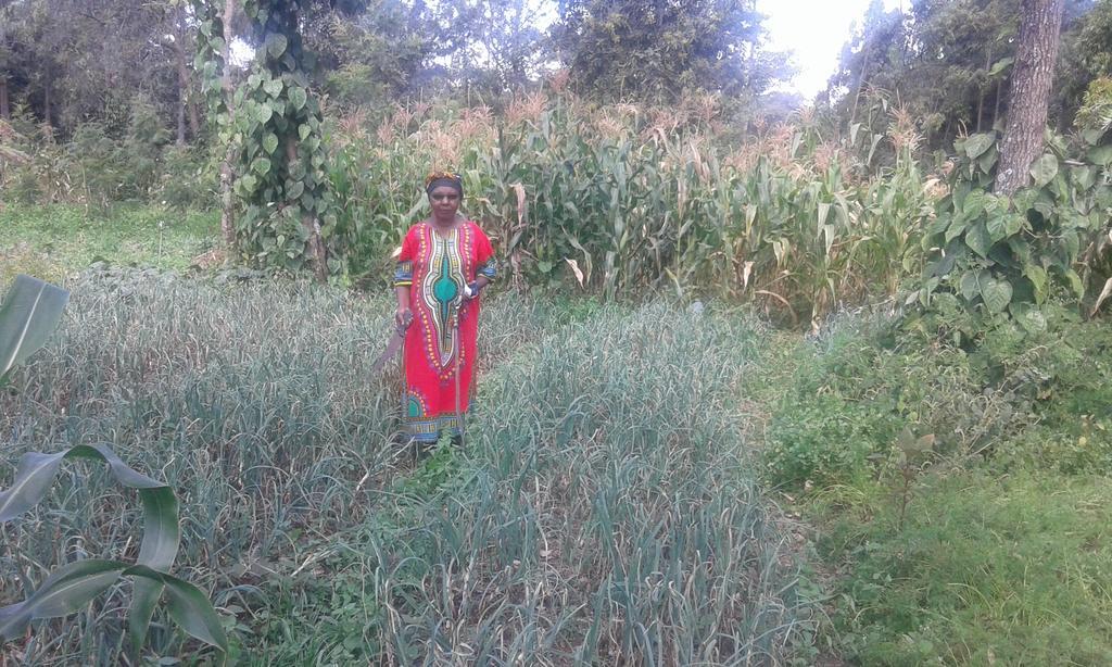 Appartamento Kepro Farm Nairobi Esterno foto